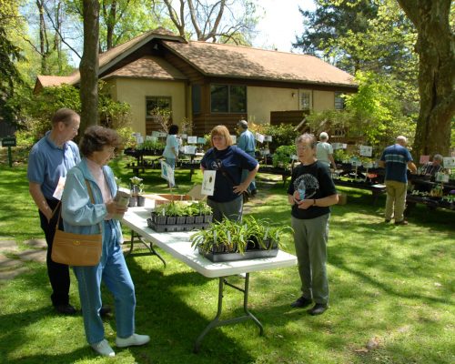 Plant Sale2