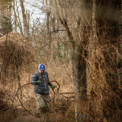 DSC_4293-Edit